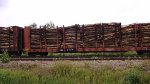 LRIX 2724 logs from off the AC north of the Sault